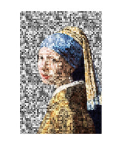 Girl Pearl Earring pixels